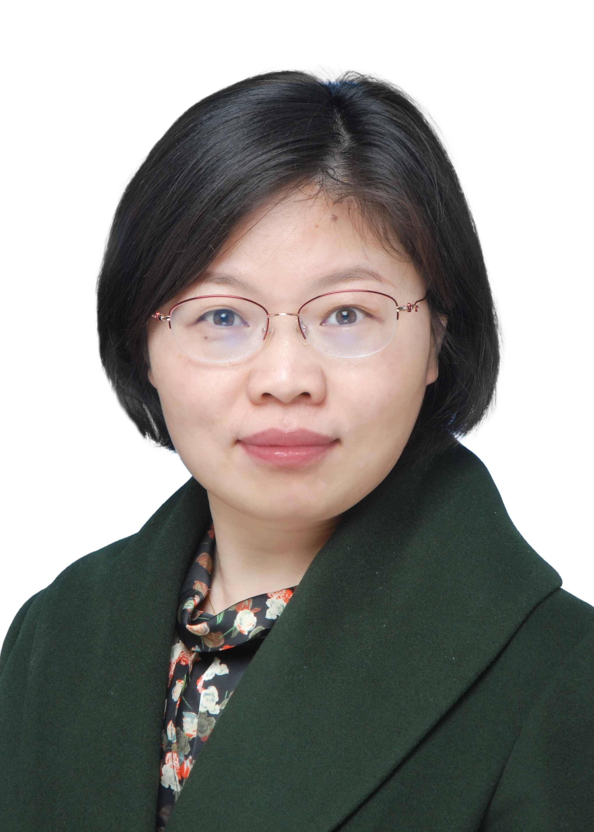 Liping Jing