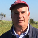 Ademir Calegari