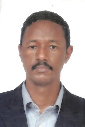 Mahmoud Khalifa