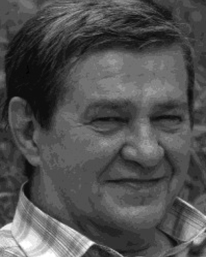 Sergey V. Stankevich