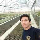 Hadi Ghasemi