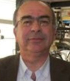 António Manuel Monge Soares
