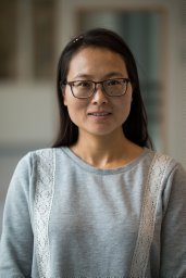 Miao Zhao