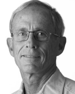 Dirk J. Gravesteijn