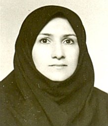 Maleki-Dizaji Nasrin