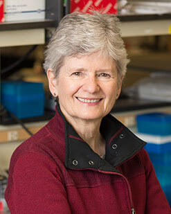 Christina Caroll Leslie