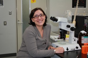 Francesca Gaccioli