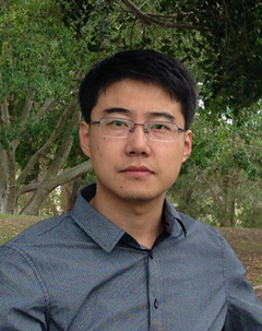 Yang Yang