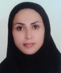 Hamideh Maleksaeidi