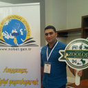 Engin Tilki