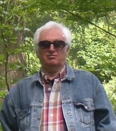 V.I. Babitsky