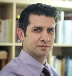 Ince, Gokhan