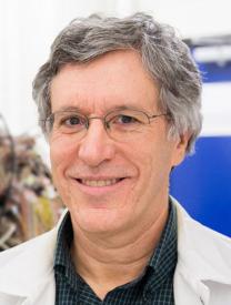 Joel S. Karp