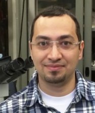 S Ali Aghvami