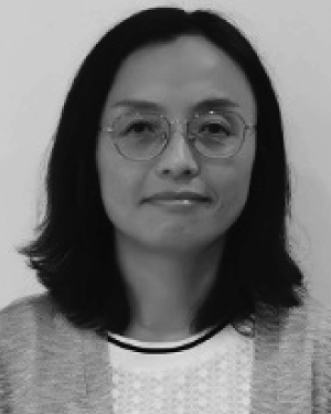 Lianmin Zhao