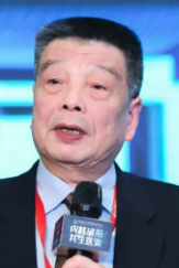 Zhulei Chen