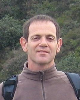Roy Friedman