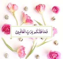 Safaa Tayel