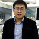 Jinshan Wang