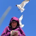 Christine M. Anderson