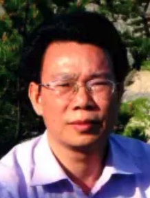 Jinjin Li