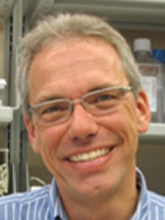 Adrian Wiestner