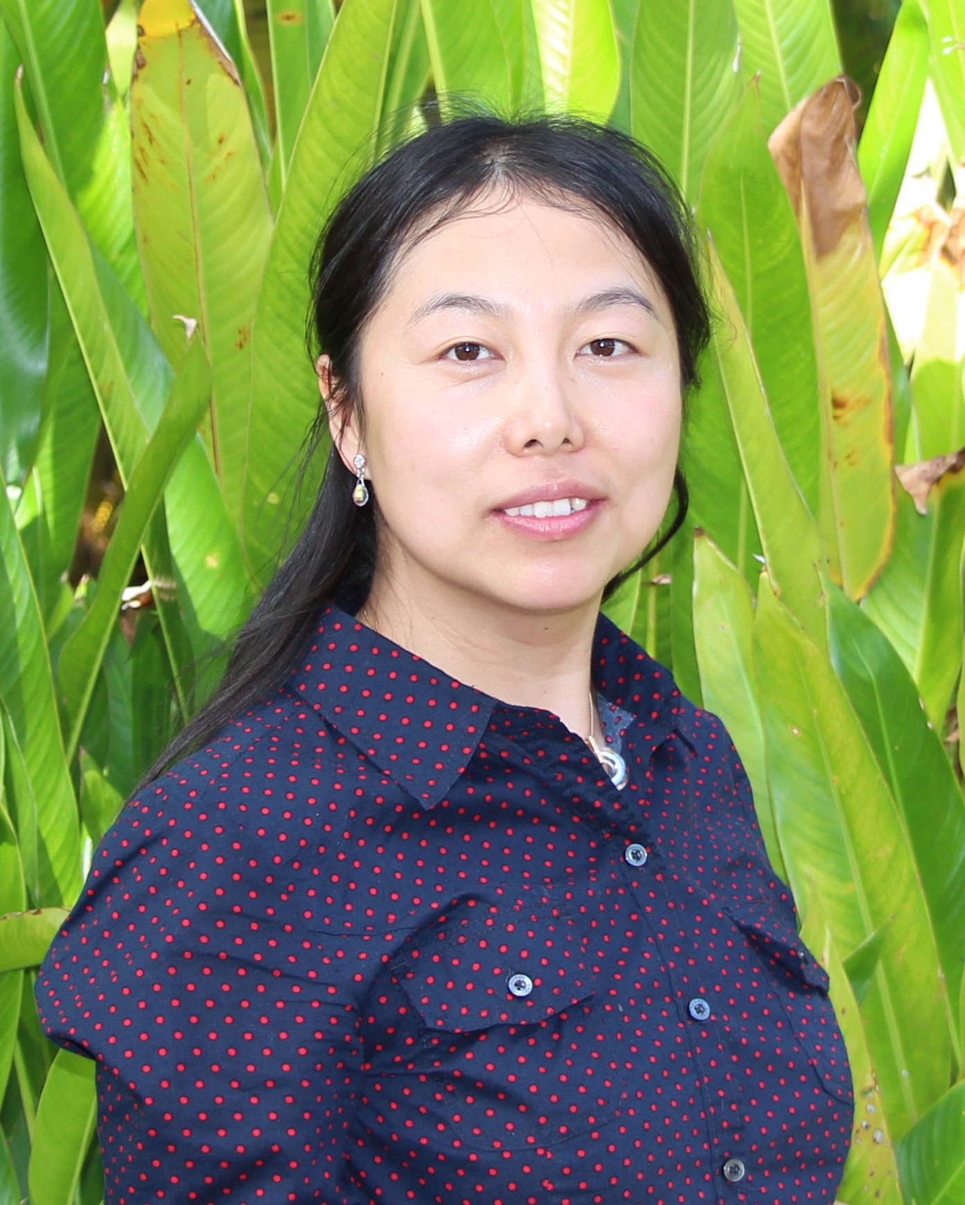 Jinzhuo Zhao