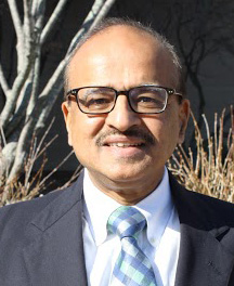 Prashant C. Palvia
