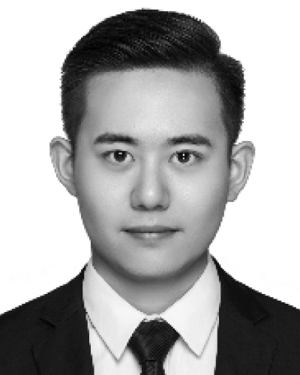 Hailin Wang