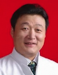 Han Lei