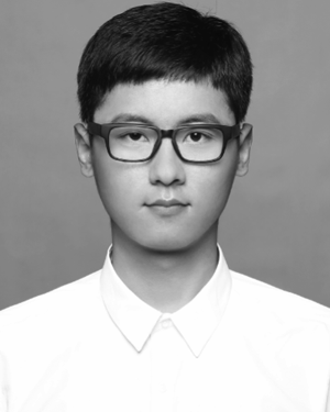 Zhao Qi