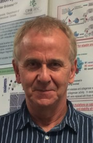 Dieter Brömme