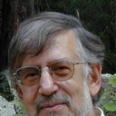 G. Flichman