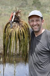 Paulo Labiak