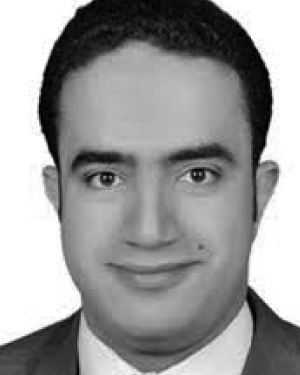 Abdelazim G. Hussien