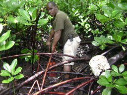 Kipkorir Sigi Lang'at
