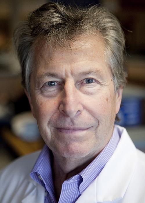 Nicholas H. Dodman
