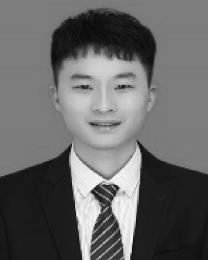Shuai Chen
