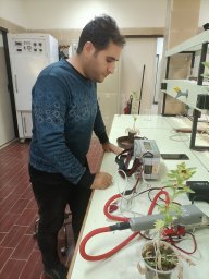 Rasoul Heydarnajad Giglou