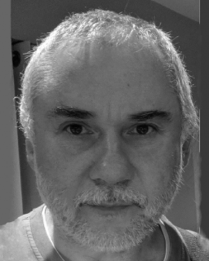 Raul H. C. Lopes