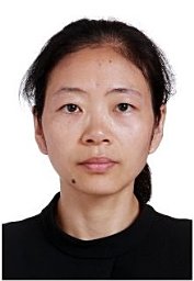 Wenting Feng