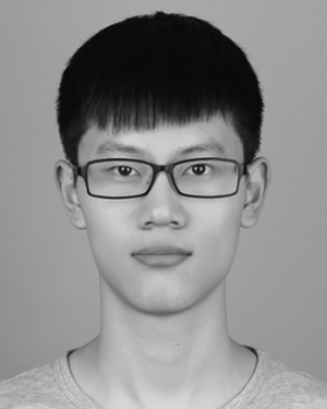 Shizhen Li