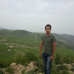 Seyed Reza Hejazi
