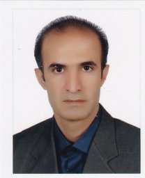 S Mohsen Asghari