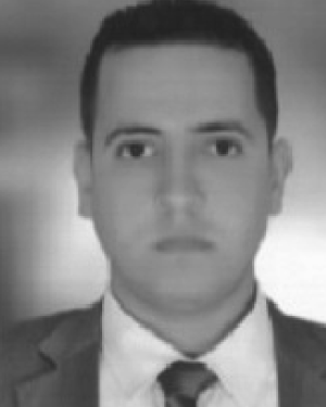 Ahmed R. Adly