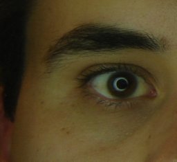 Marcelo Lares