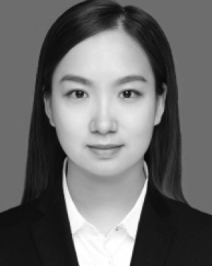 Chenfeng Wang