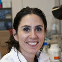 Cristina Pignocchi