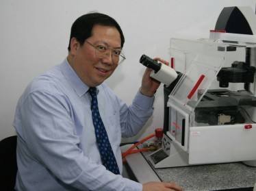 Wei An