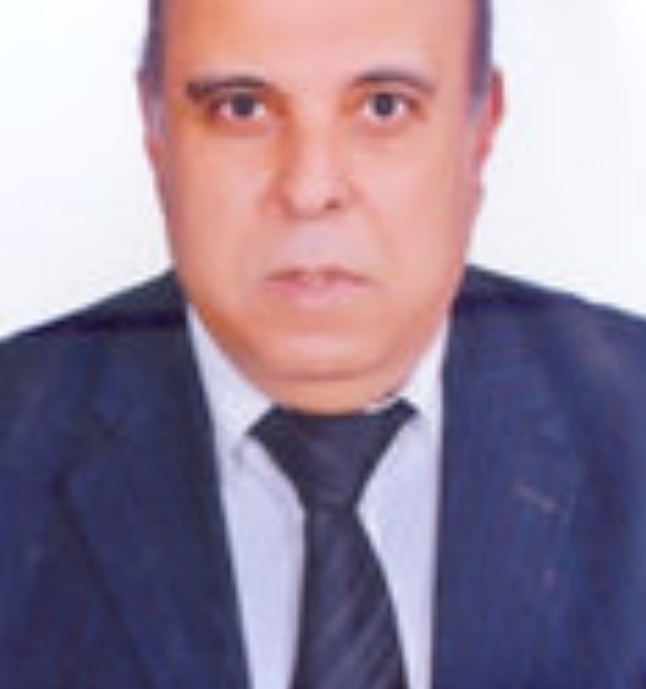 Mohamed M Rashad